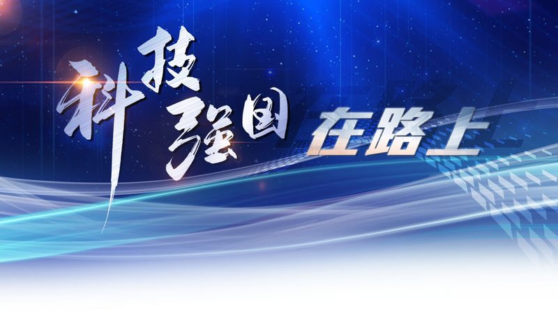 数据服务报价明细表模板：构建透明报价体系的秘诀